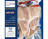 ماهی تیلاپیلا - وکیوم (کد136) شیلات مهدی زاده 09155159391